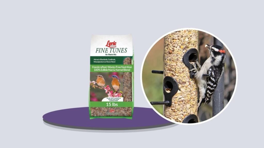 Lyric Fine Tunes No Waste Wild Bird Mix