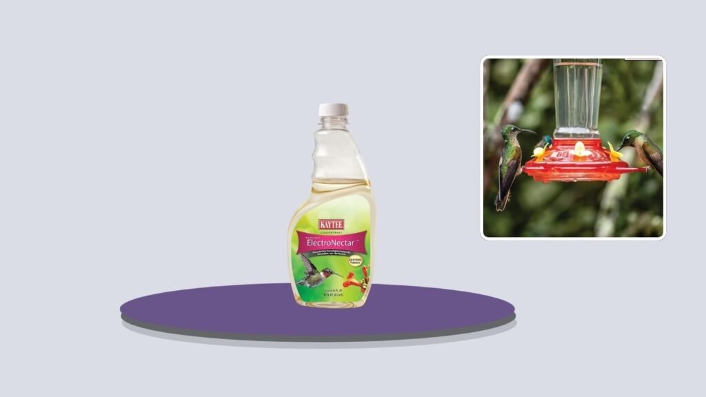 Kaytee Hummingbird ElectroNectar Concentrate