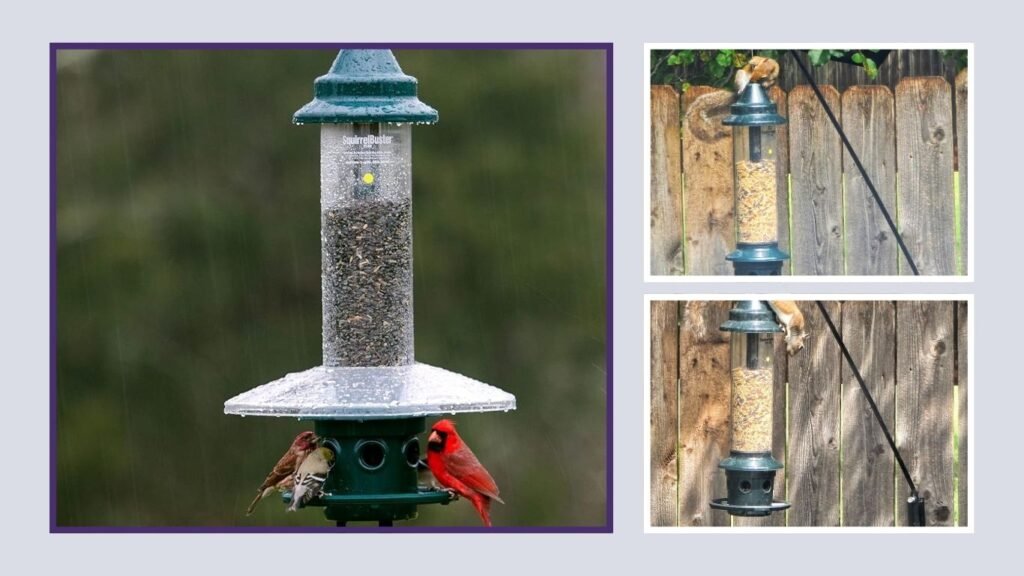 Squirrel-Proof Adjustable Bird Feeder – 5.1 lb Capacity