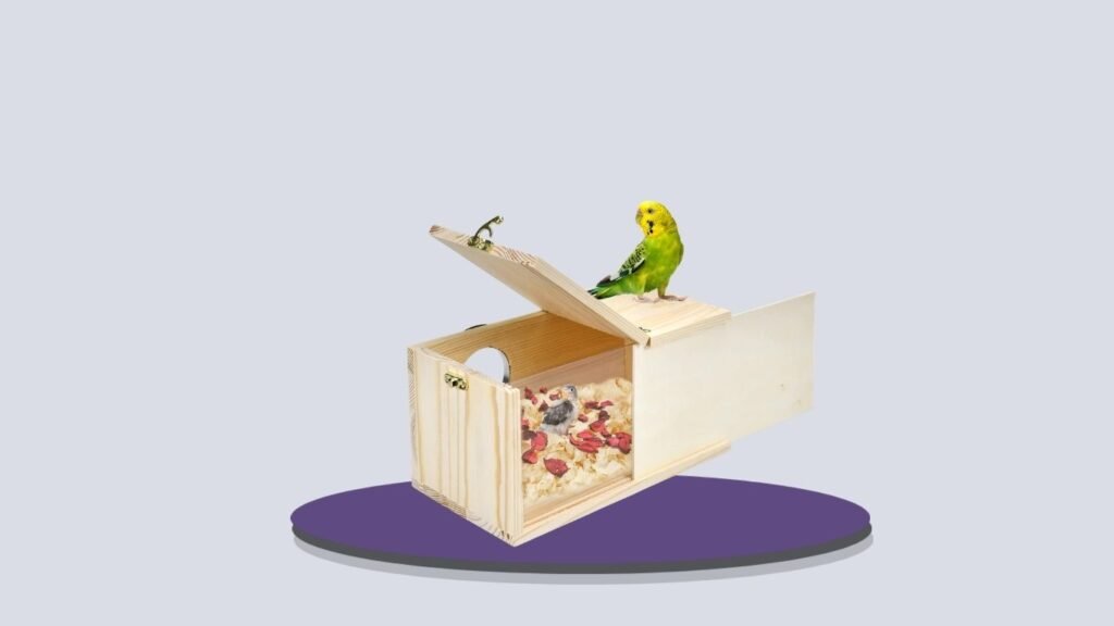 CooShou Cockatiel Transparent Detachable Breeding Box