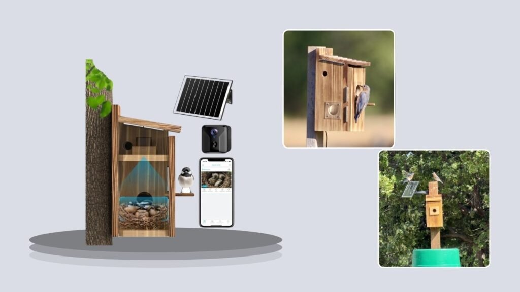 KinetCam Solar-Powered 2K Birdhouse Camera