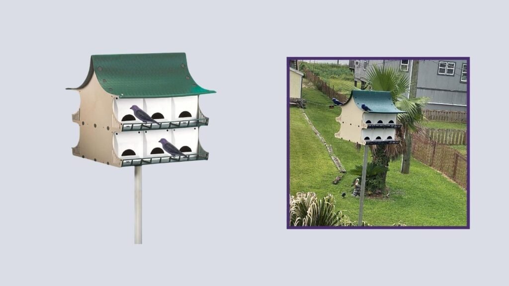 BestNest Purple Martin House Package