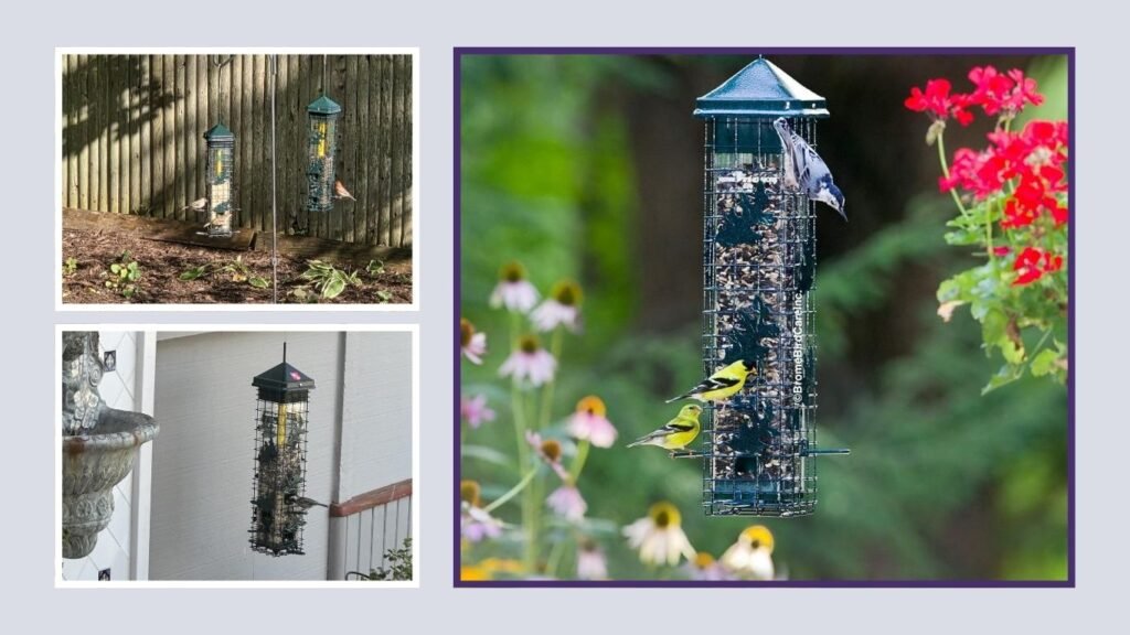 Squirrel Solution200 Squirrel-Proof Bird Feeder