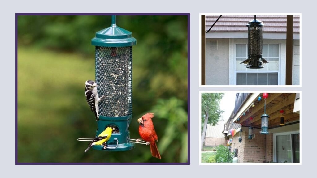 Squirrel Buster Legacy Squirrel-Proof Bird Feeder
