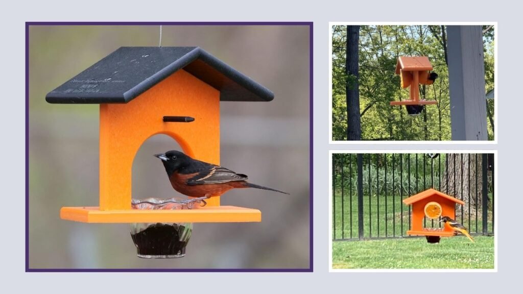 AmishToyBox.com Oriole Feeder with Hanging Design