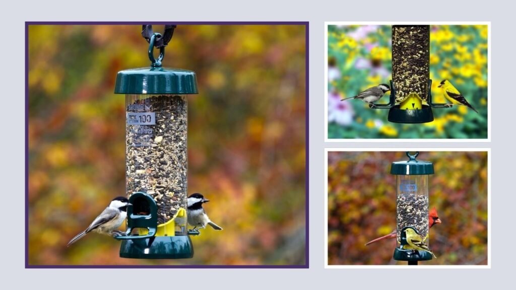 Brome Squirrel Solution 1.7 lb Capacity Tube Feeder