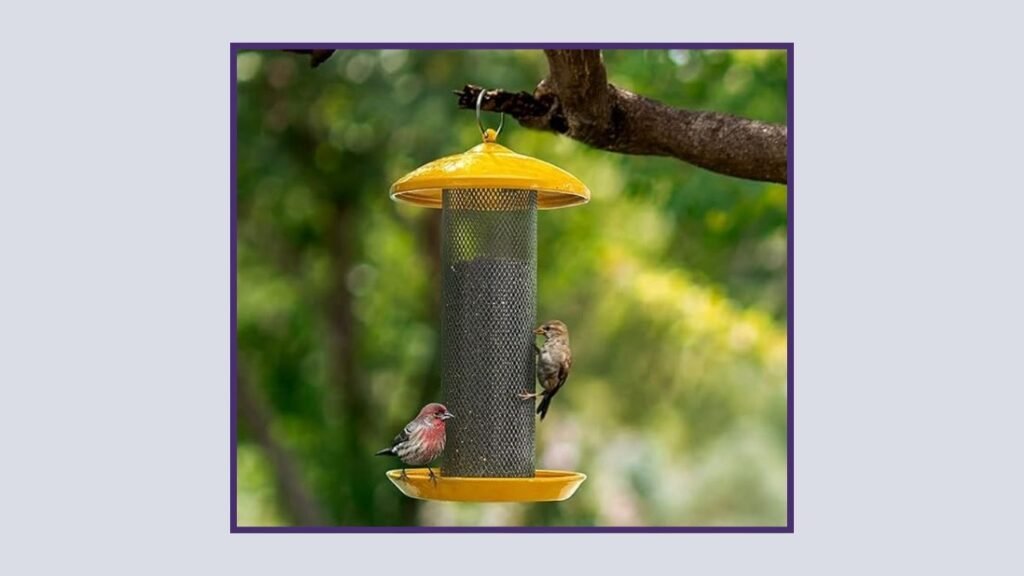 Kingsyard Outdoor Hanging Finch Bird Feeder