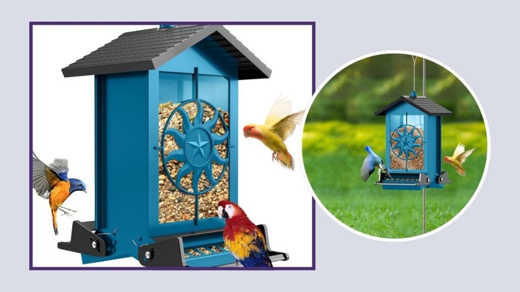 Weatherproof Squirrel-Proof Bird Feeder for Blue Jays & Cardinals