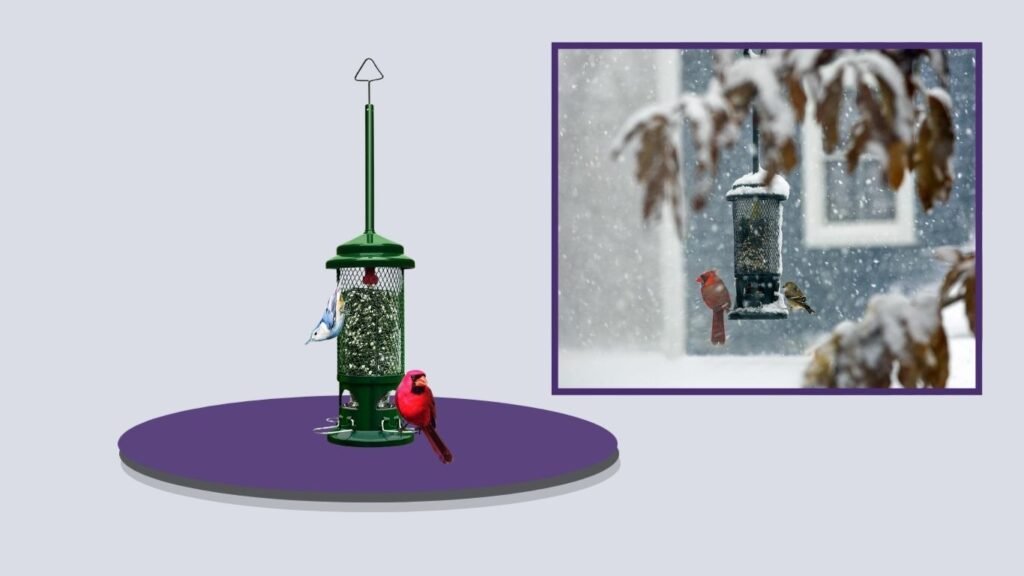Squirrel Buster Standard Bird Feeder