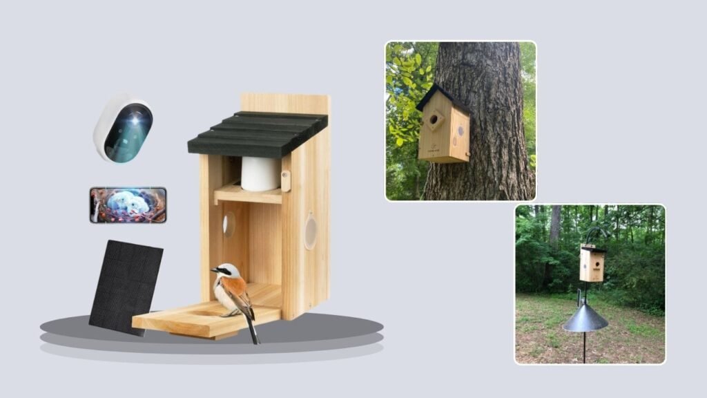 ISENLAND AI Bird Identification Smart Birdhouse Camera