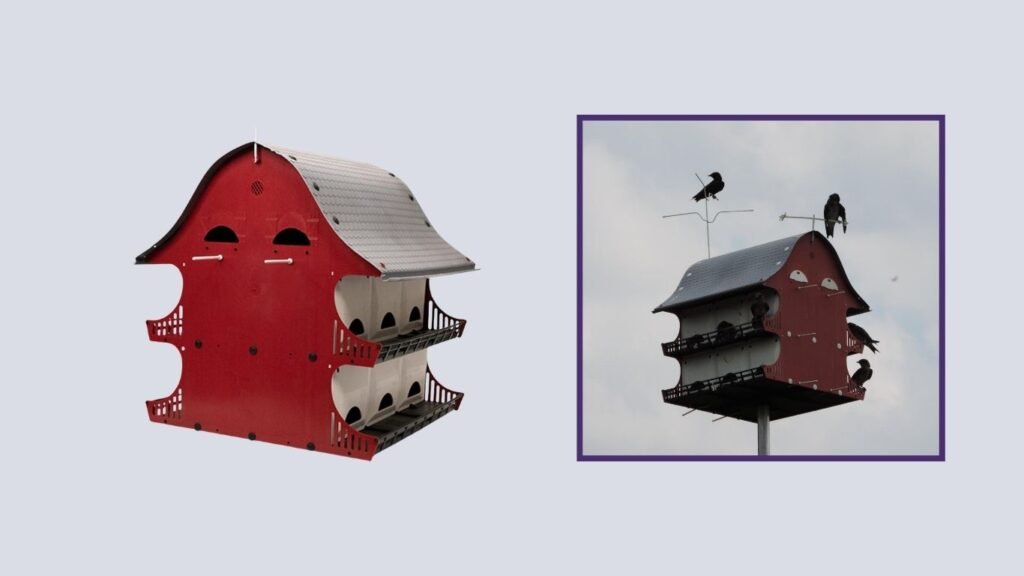 BestNest Purple Martin House Package