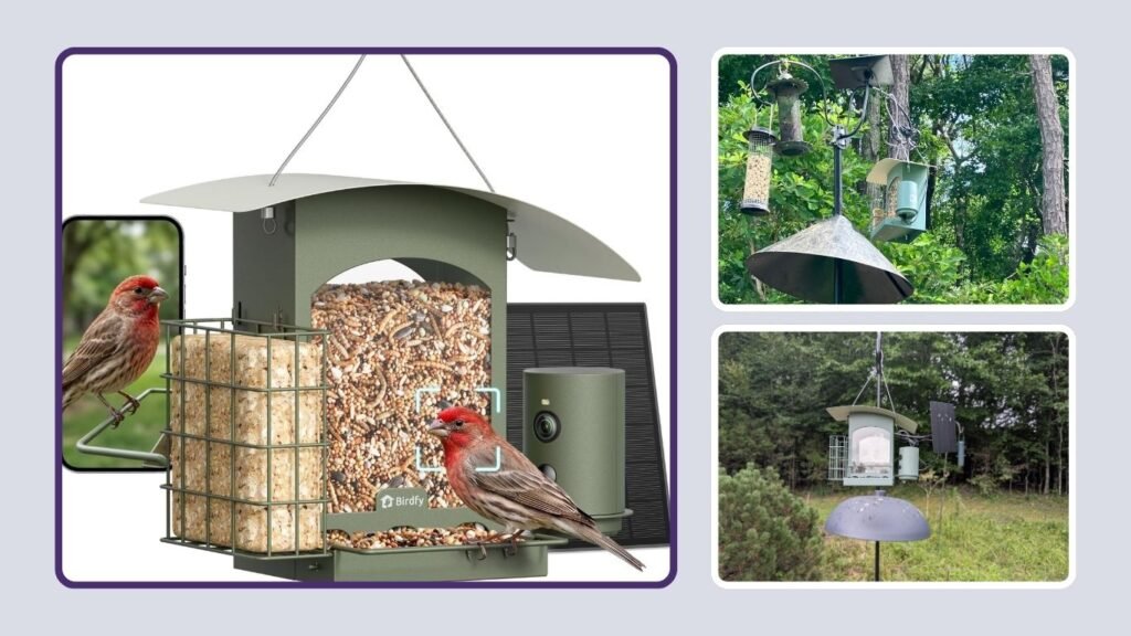 Birdfy Metal Hanging Solar Smart Bird Feeder