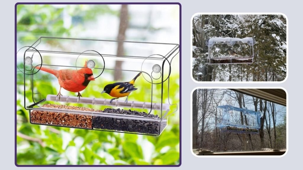 LUJII Shatterproof Polycarbonate Window Bird Feeder