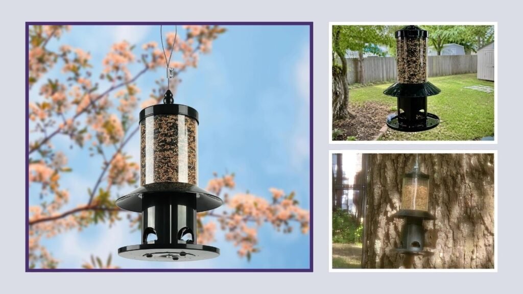 Squirrel-Proof Outdoor Bird Feeding Station