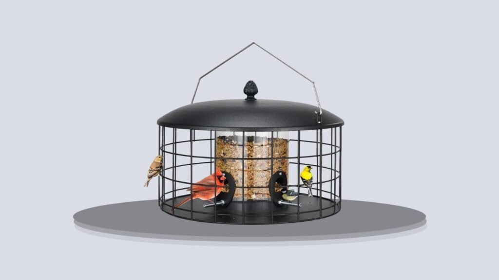 Veehoo Squirrel-Proof Outdoor Caged Bird Feeder