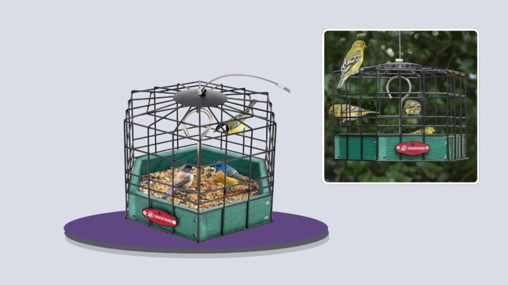 Kingsyard Squirrel-Proof Platform Bird Feeder
