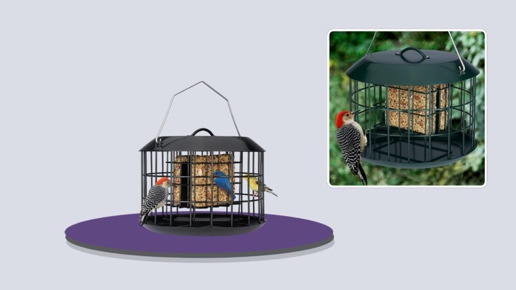 Kingsyard Metal Caged Squirrel-Proof Suet Feeder