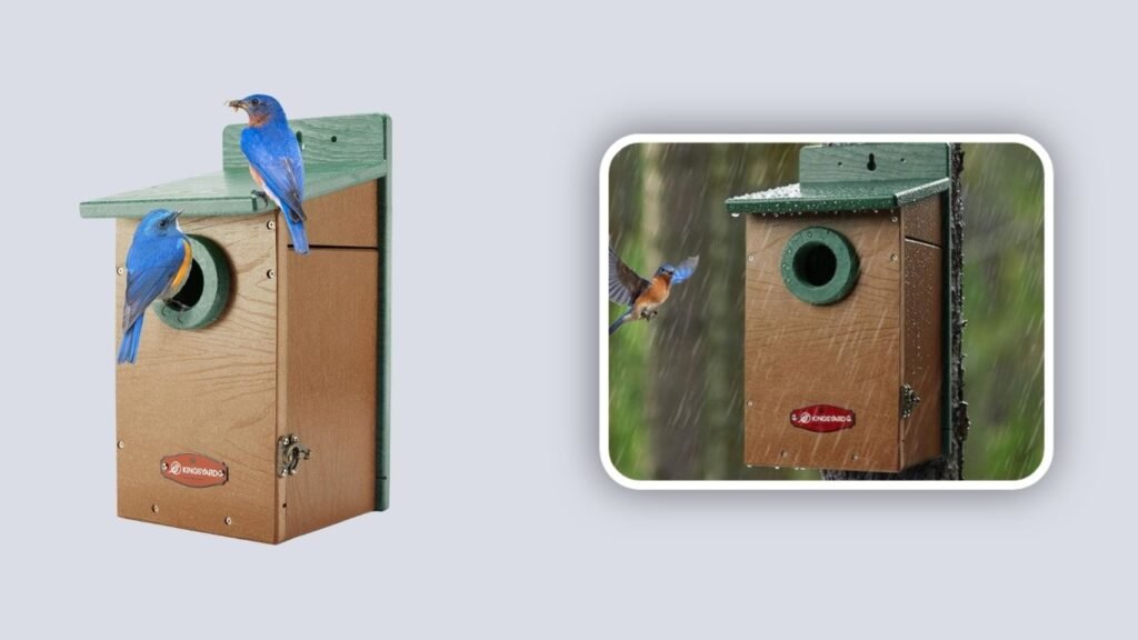 Kingsyard Recycled Plastic Bluebird House with Viewing Panel