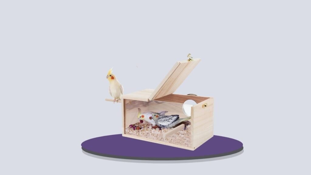 Rypet Cockatiel Transparent Nesting Box
