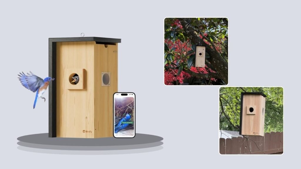 Birdfy Smart Nest Camera for Bluebirds & Chickadees