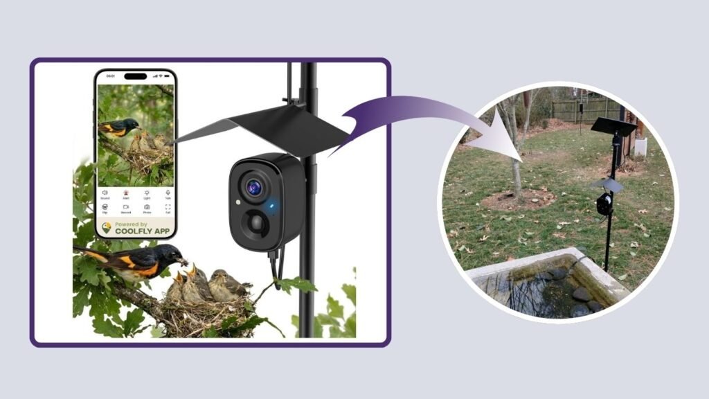 RichBird 2.5K UHD Solar-Powered Smart Bird Camera