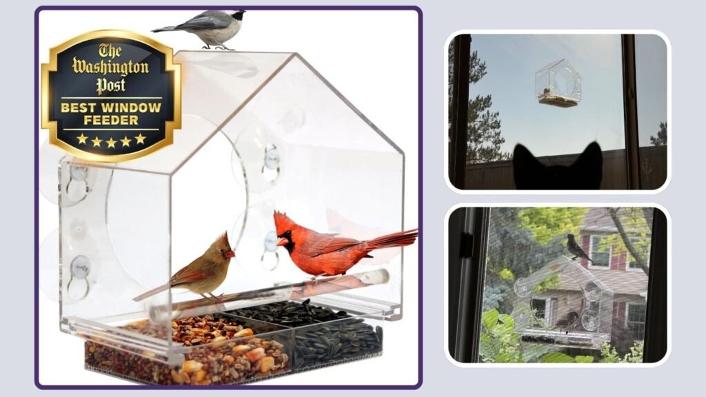 Nature Anywhere Sliding Window Bird Feeder
