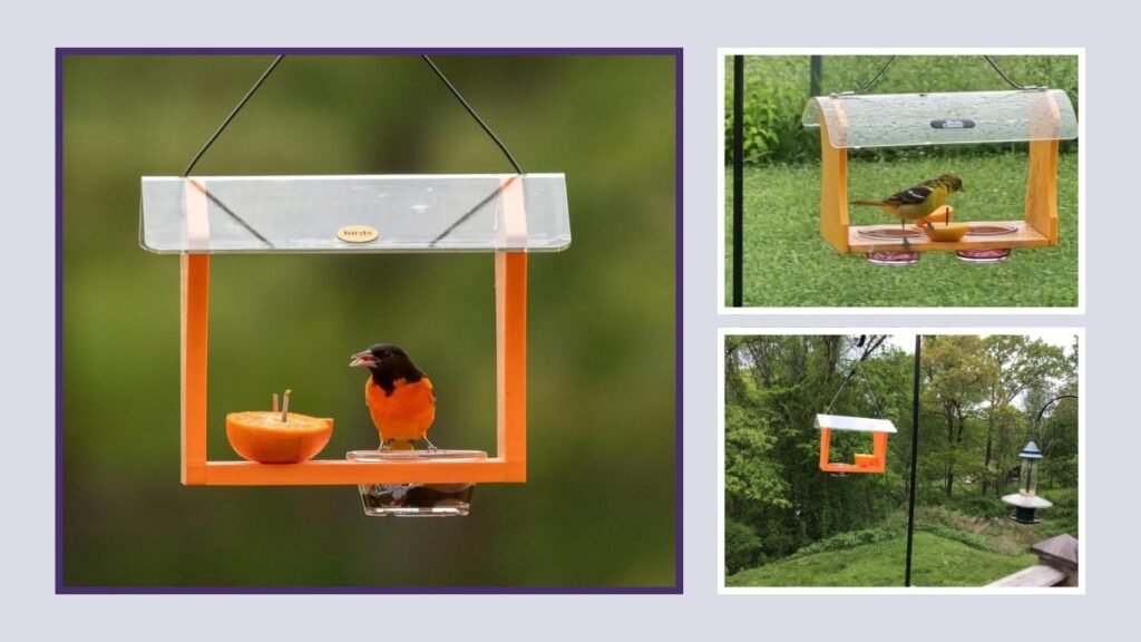 Birds Choice Recycled Oriole Feeder