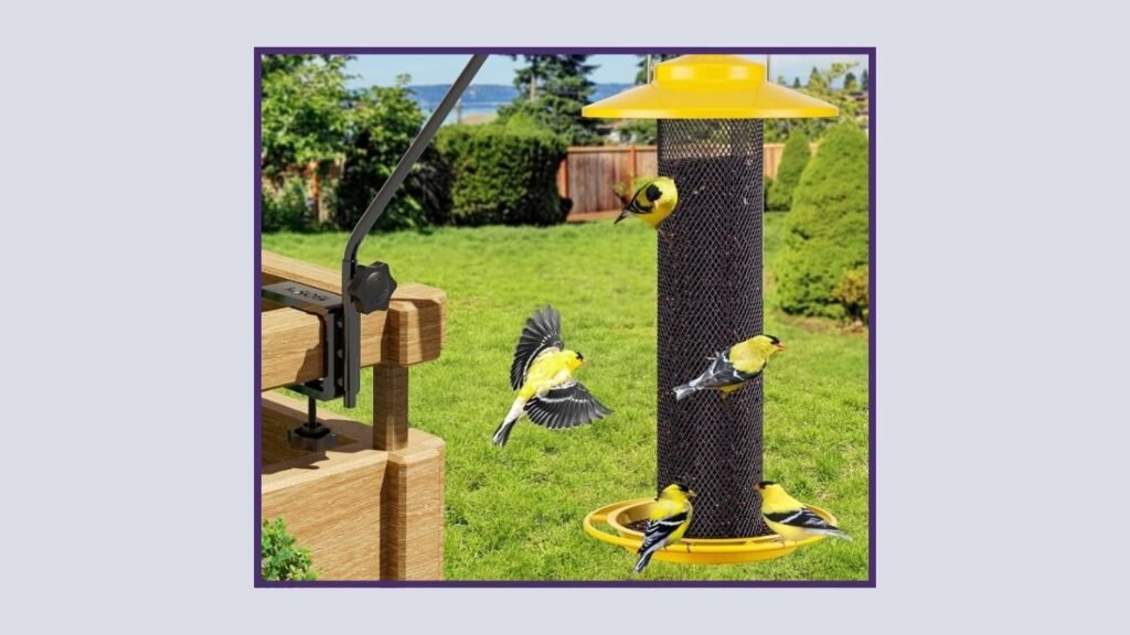 iBorn Weatherproof Outdoor Finch Bird Feeder