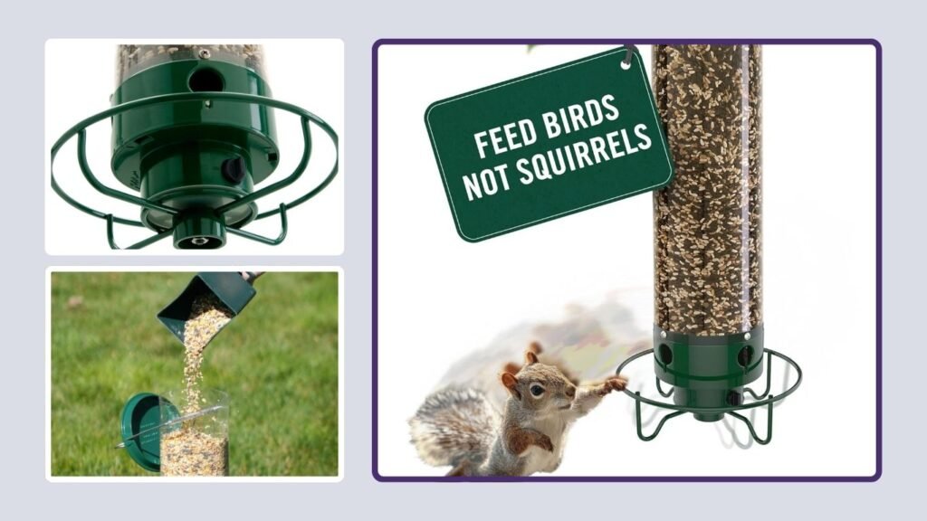 Droll Yankees Flipper Squirrel-Proof Bird Feeder
