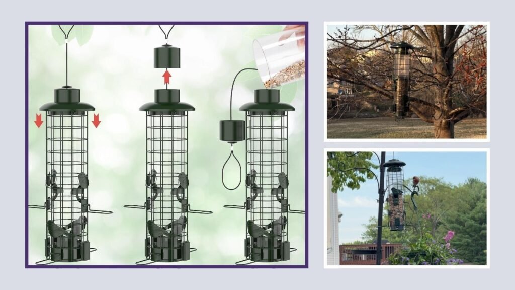 Squirrel-Protected Outdoor Bird Feeder for Cardinals & Chickadees