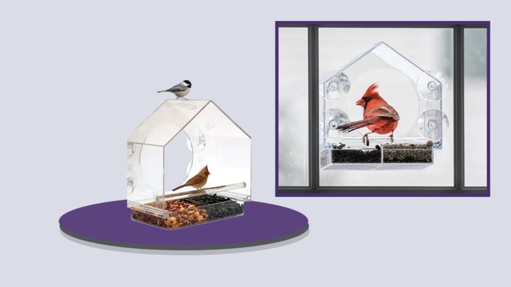 Nature Anywhere Birds-I-View Window Bird Feeder