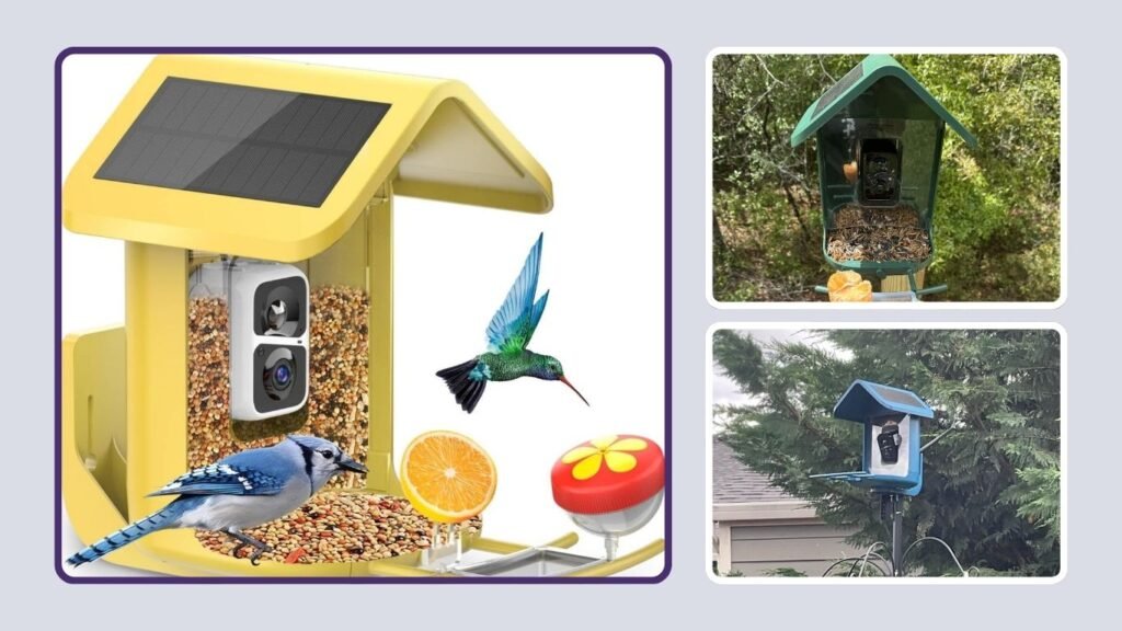 onlyfly Solar Smart Bird Feeder with 2K Camera