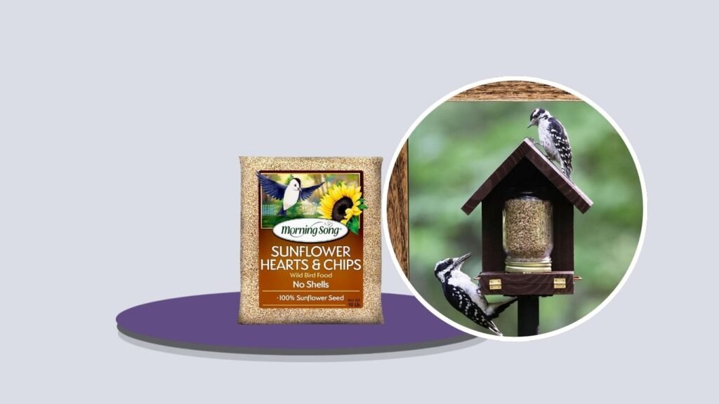Morning Song Sunflower Hearts & Chips
