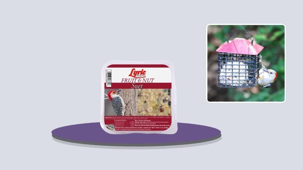 Lyric Fruit & Nut Wild Bird Suet Cakes