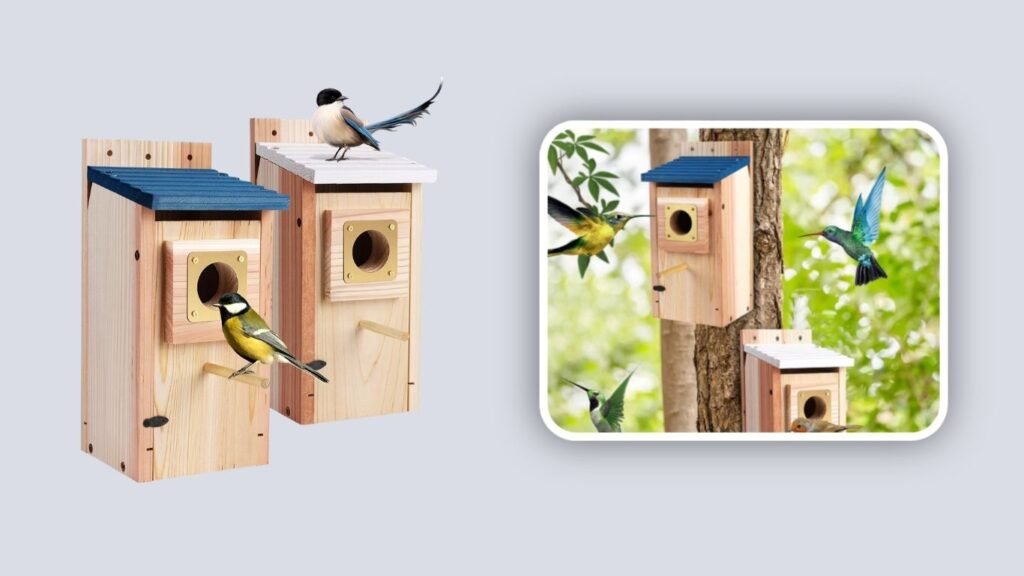 ColorfulLaVie Thick-Wall Bluebird Houses – 2 Pack