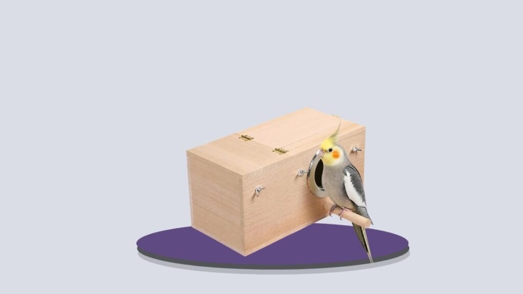 Wooden Parakeet, Budgie & Cockatiel Breeding Nesting Box