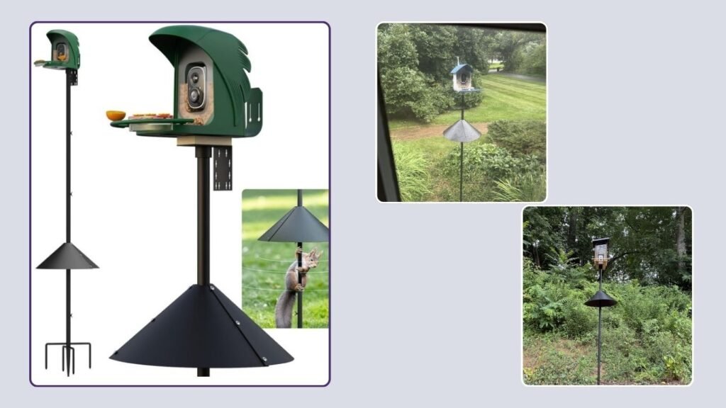 PerchMe Heavy-Duty Adjustable Universal Bird House Pole