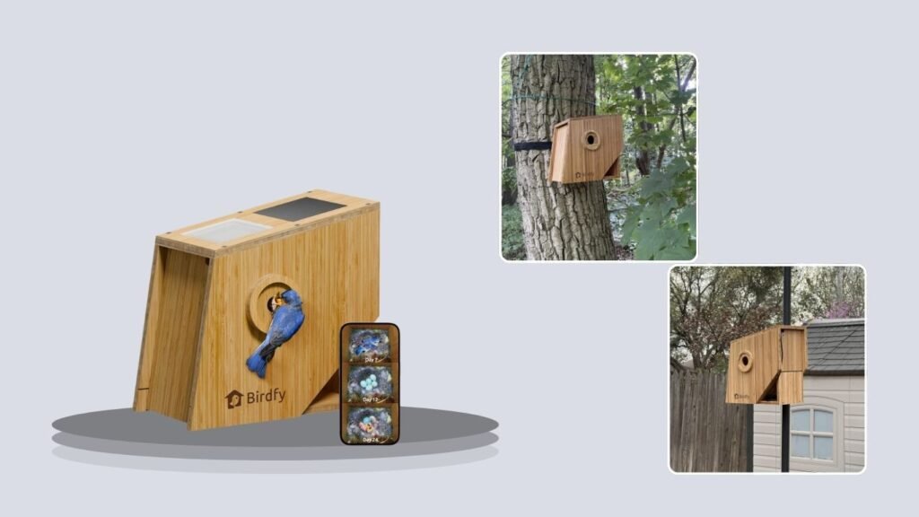 Birdfy Outdoor Bird House Camera with Auto Recording