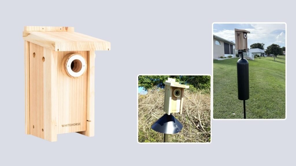 WHITEHORSE Premium Eastern Bluebird House