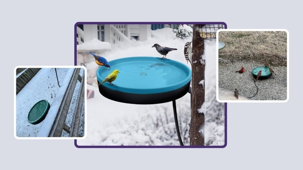GESAIL Shallow Heated Bird Bath with Detachable Mount