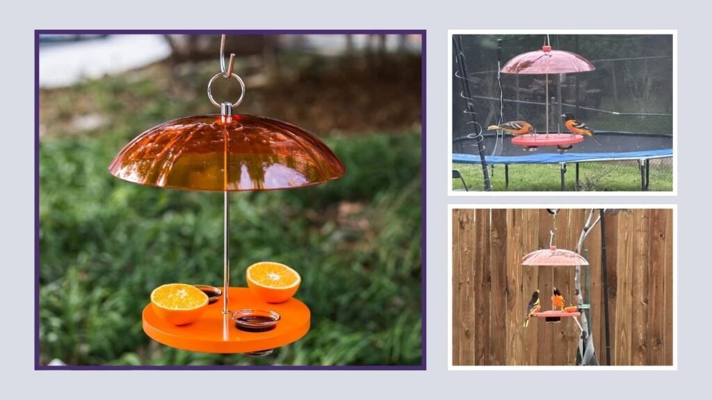 Kingsyard Double-Cup Oriole Feeder