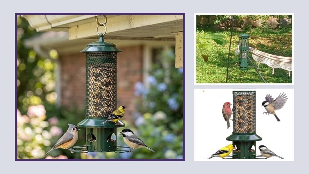 Squirrel-Proof Bird Feeder for Outdoors