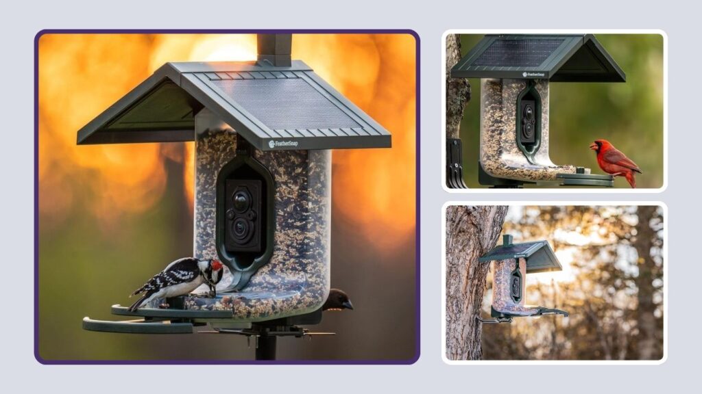 FeatherSnap Scout Wi-Fi Solar Smart Bird Feeder