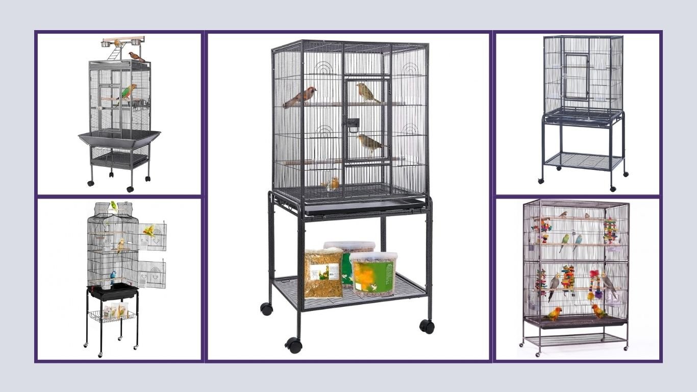 9 Best Large Bird Cages for Parrots and Pet Birds