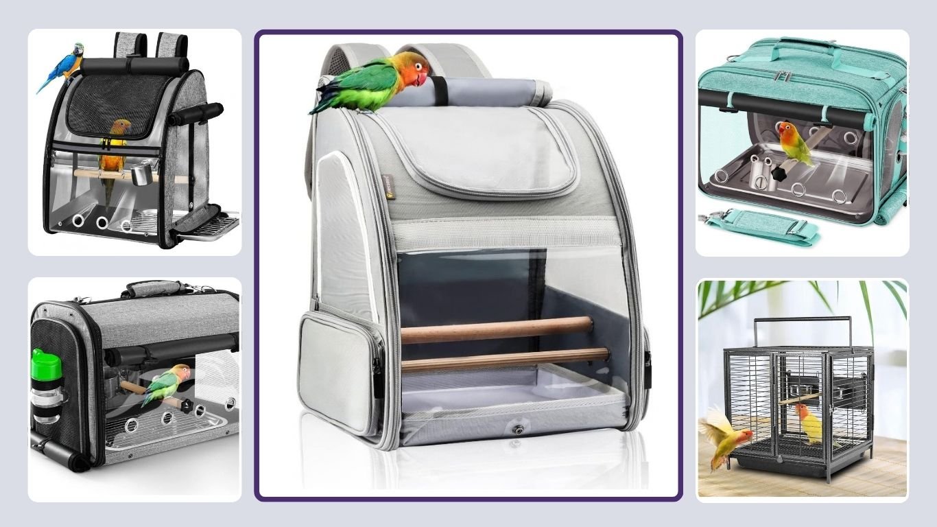 10 Best Bird Travel Cages for Parrots and Small Birds