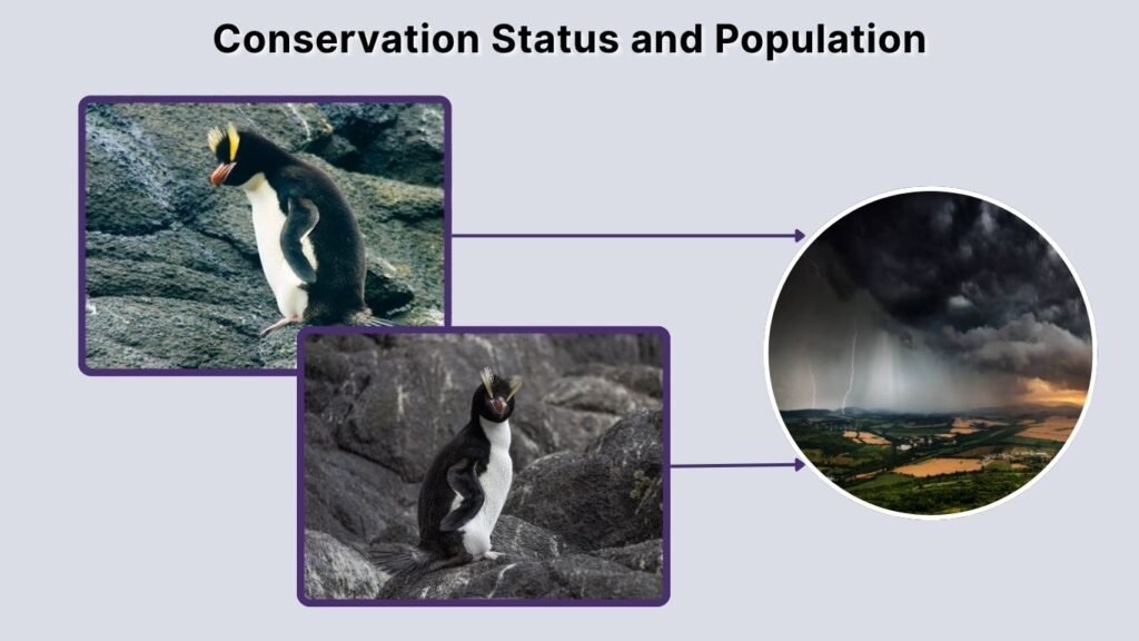 Conservation Status and Population
