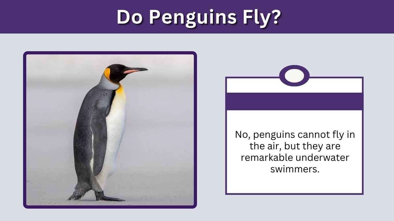 Do Penguins Fly? Why They Cannot Fly and How They Swim